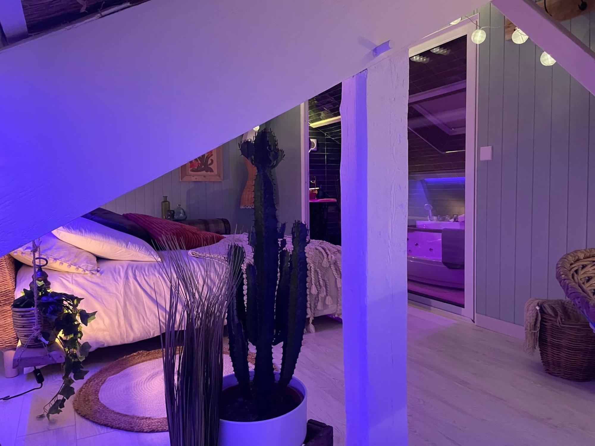 La Cle Des Champs - Le Monroe Piscinespa-sauna Au Jardin Tropical Idyllique * Jouarre