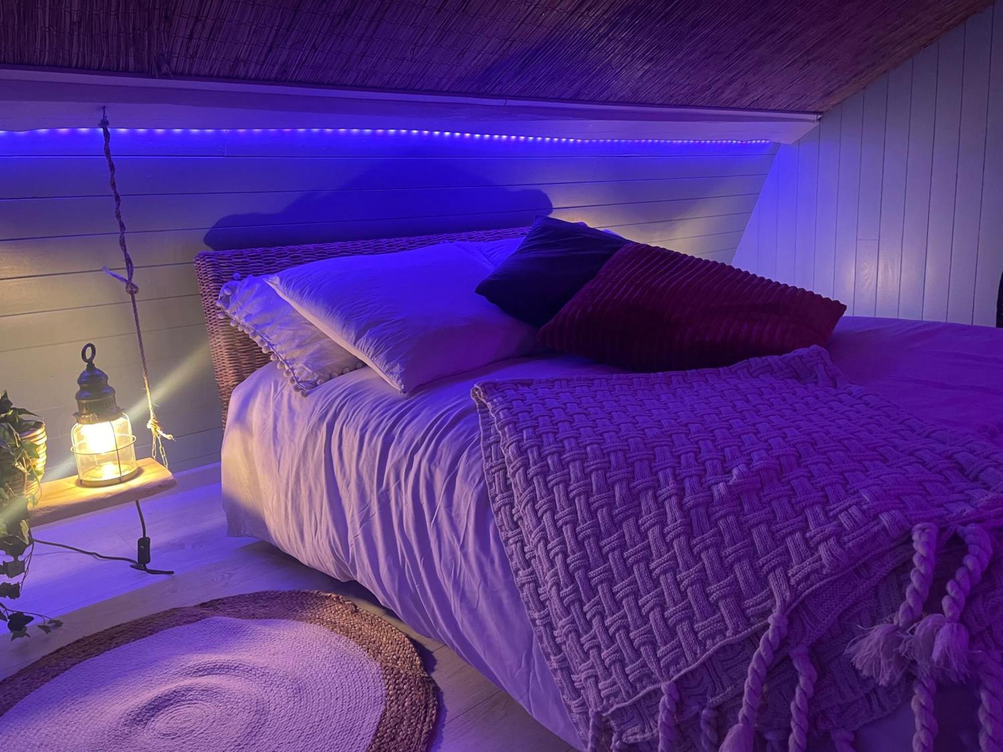 La Cle Des Champs - Le Monroe Piscinespa-sauna Au Jardin Tropical Idyllique Jouarre
