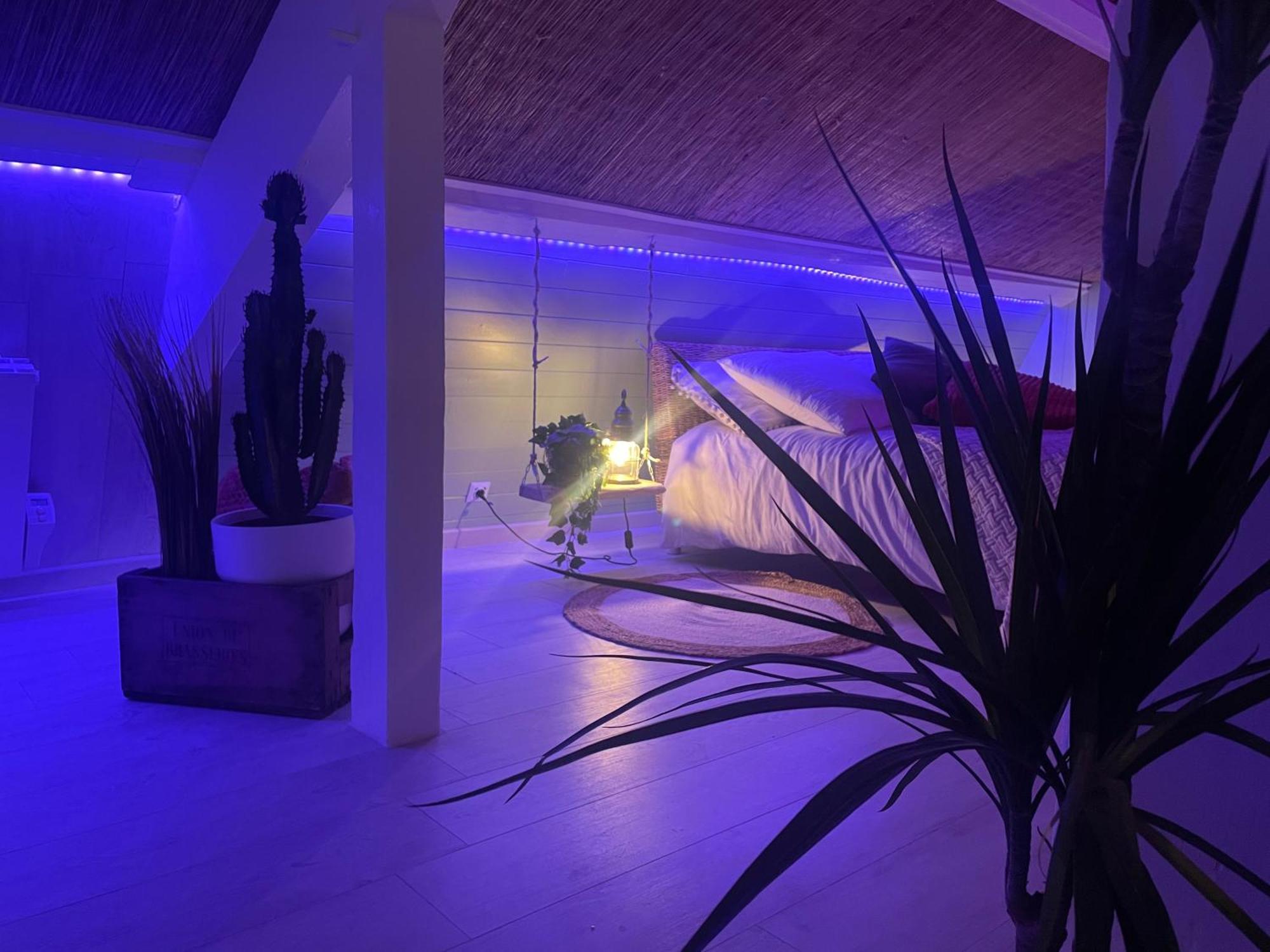 La Cle Des Champs - Le Monroe Piscinespa-sauna Au Jardin Tropical Idyllique Apartment *