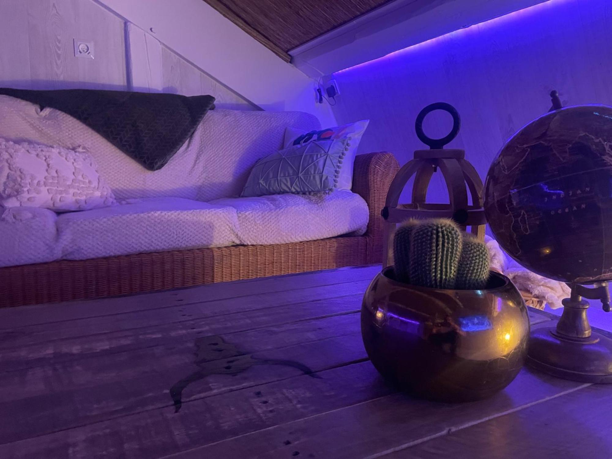 La Cle Des Champs - Le Monroe Piscinespa-sauna Au Jardin Tropical Idyllique Apartment Jouarre